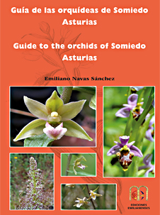 Guía de las orquídeas de Somiedo. Asturias