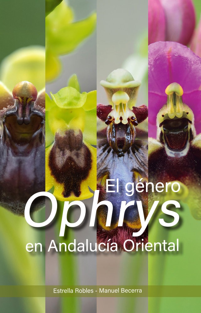 El género Ophrys (Orchidaceae) en Andalucía Oriental