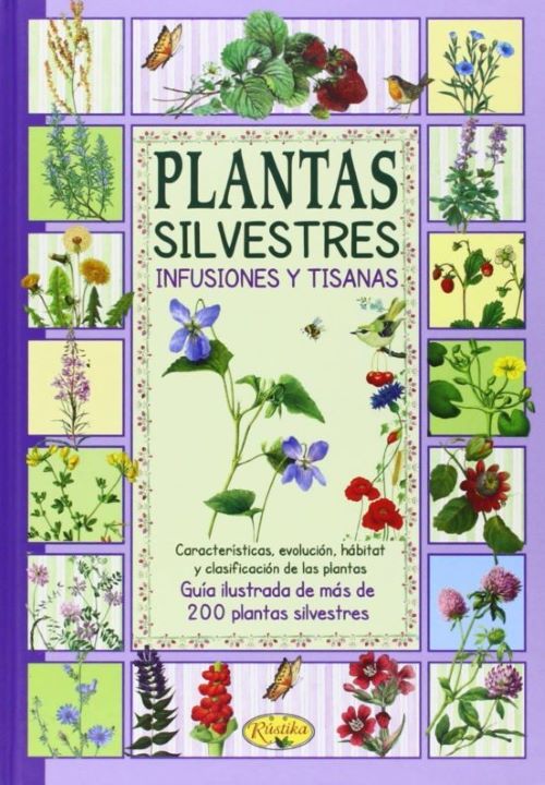 Plantas silvestres, infusiones y tisanas