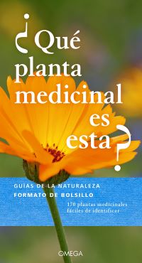¿Qué planta medicinal es esta?