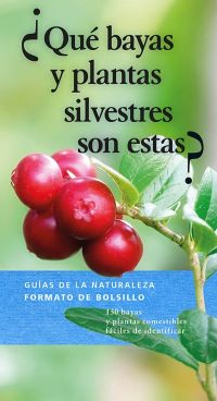 ¿Qué bayas y plantas silvestres son estas?
