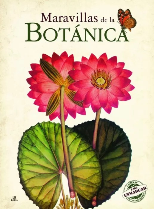 Maravillas de la botánica