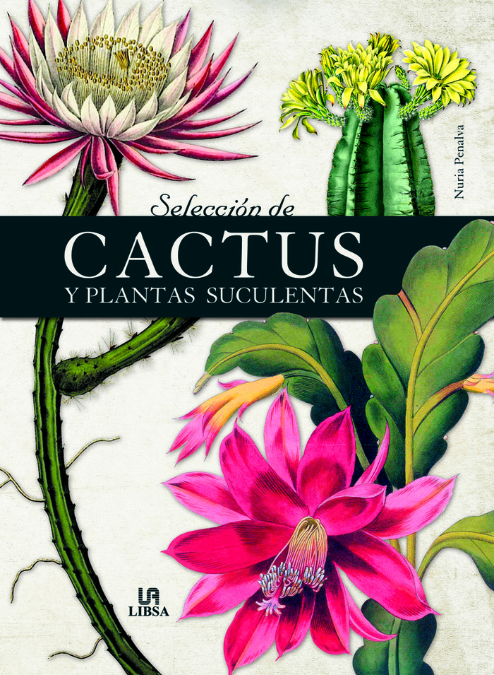 Selección de cactus y plantas suculentas