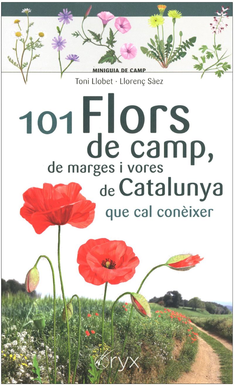 101 Flors de camp, de marges i vores de Catalunya que cal conèixer