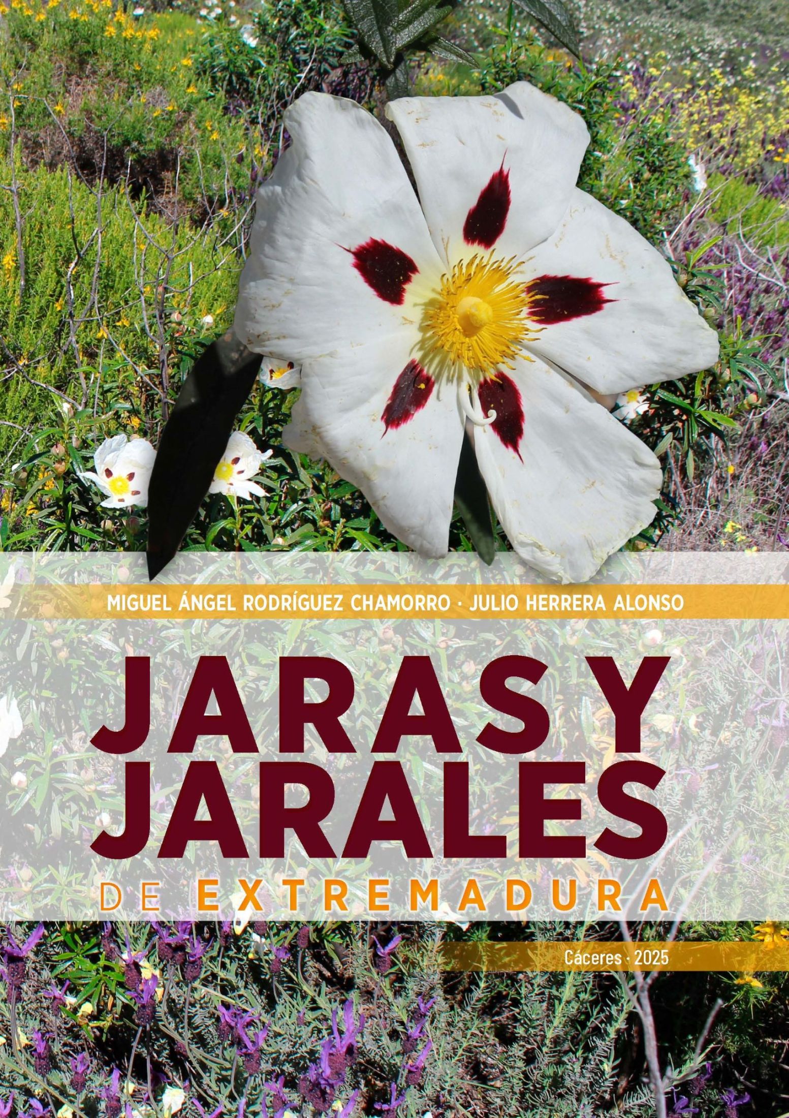 Jaras y jarales de Extremadura
