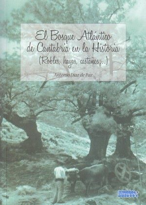 El bosque atlántico de Cantabria en la historia (robles, hayas, castaños...)