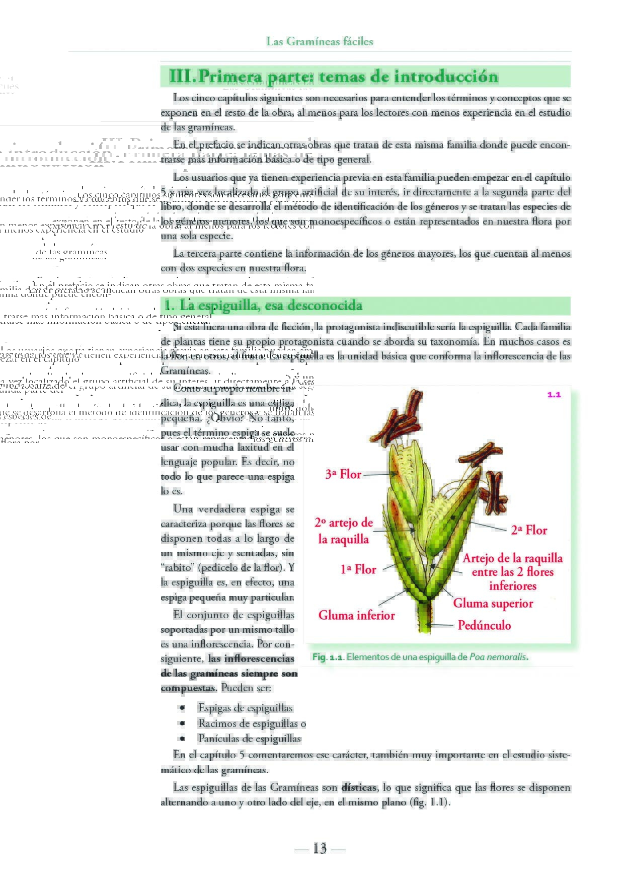 Click para ampliar 1