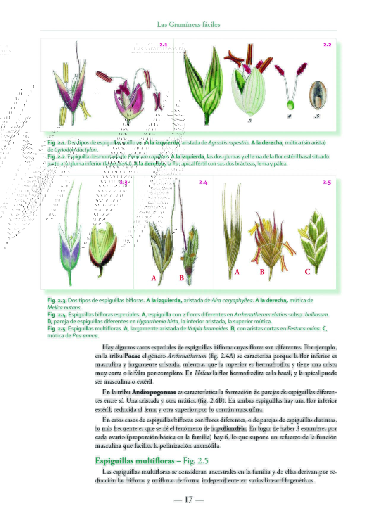 Click para ampliar 3