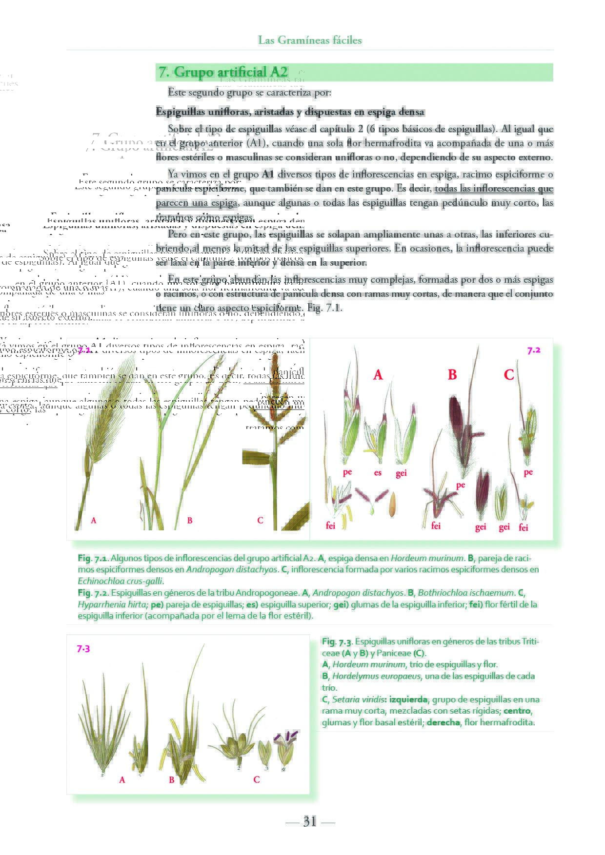 Click para ampliar 5