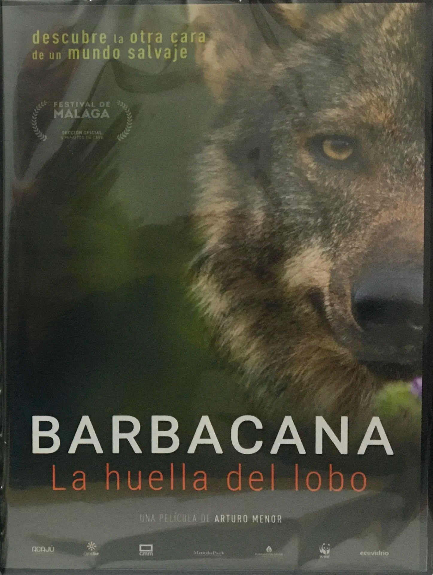 Barbacana