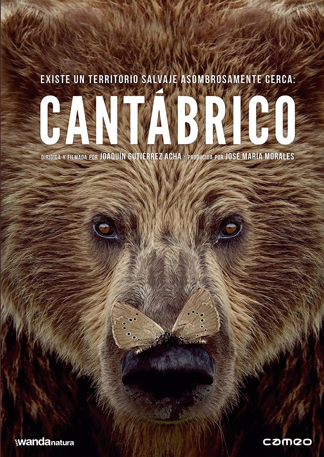 ​Cantábrico. Los dominios del oso