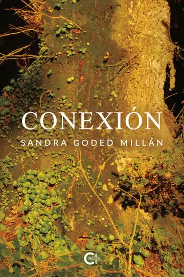 Conexión