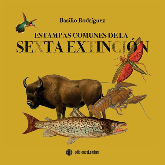 Estampas comunes de la sexta extinción