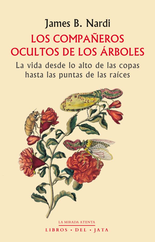 Los compañeros ocultos de los árboles