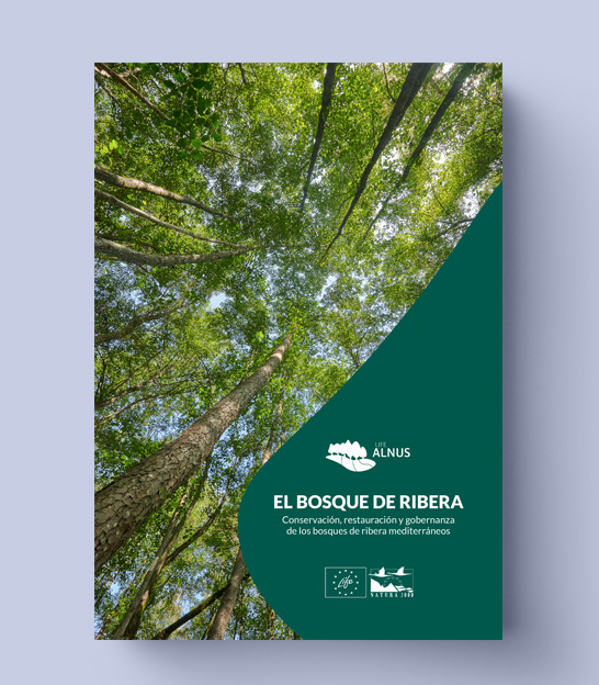 El bosque de ribera
