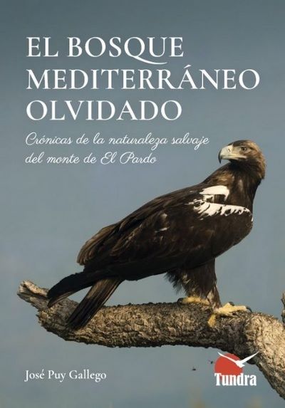 El bosque mediterráneo olvidado