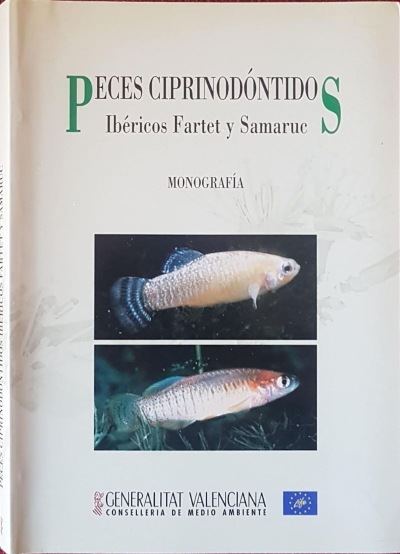 Peces ciprinodóntidos Ibéricos Fartet y Samaruc