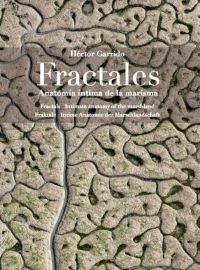 Fractales
