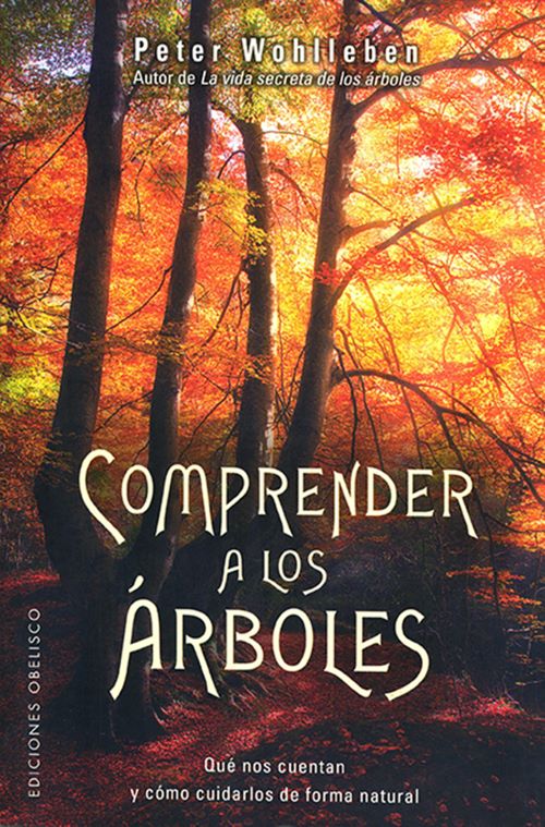 Comprender a los árboles