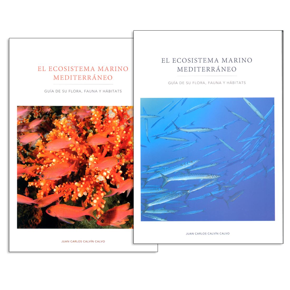 El ecosistema marino mediterráneo