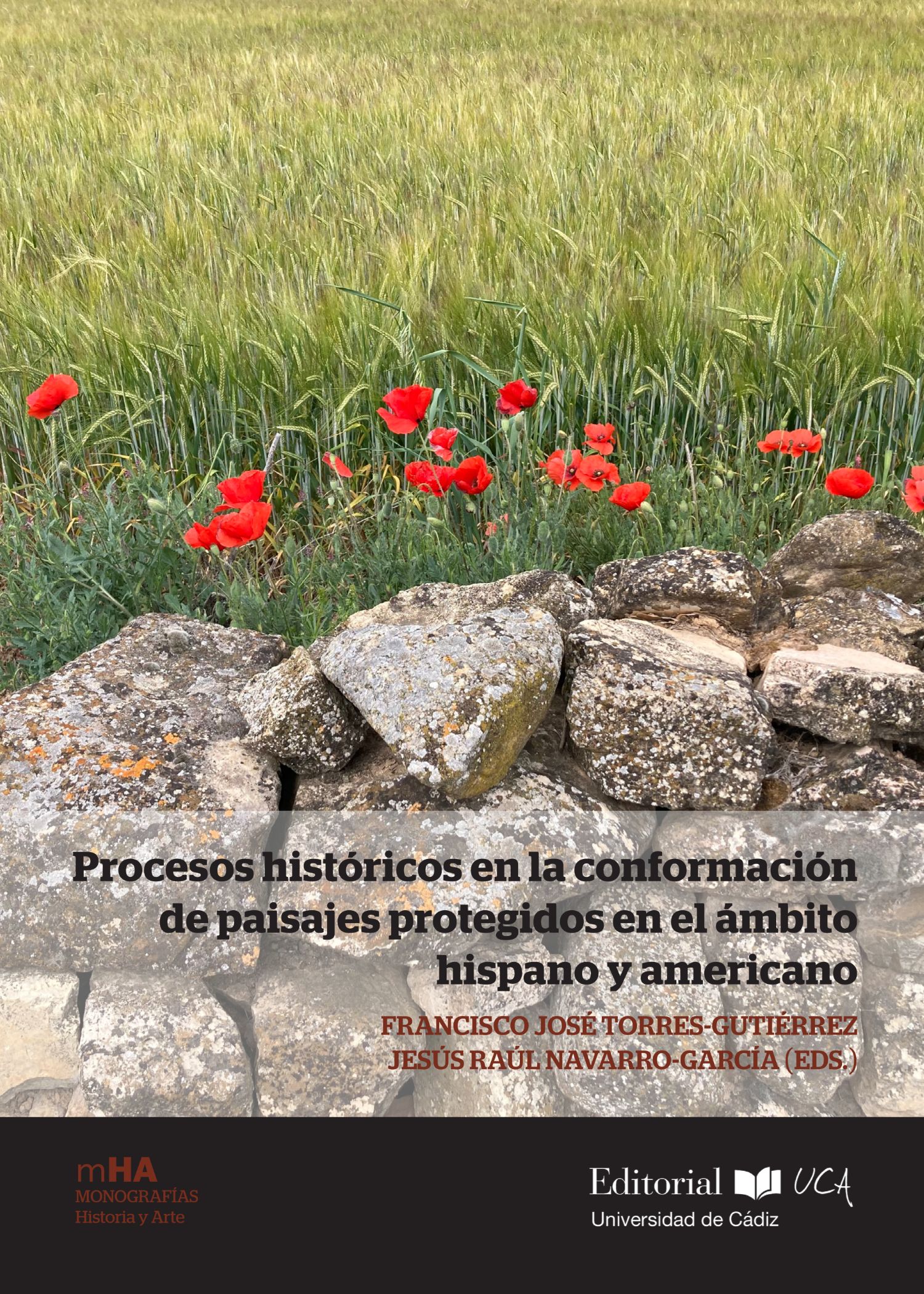 Procesos históricos en la conformación de paisajes protegidos en el ámbito hispano y americano