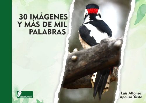 30 imágenes y más de mil palabras