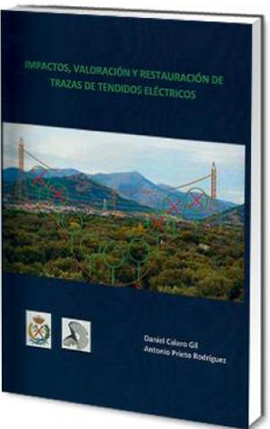 Impactos, valoración y restauración de trazas de tendidos eléctricos