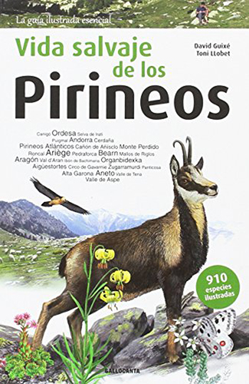 Vida salvaje de los Pirineos