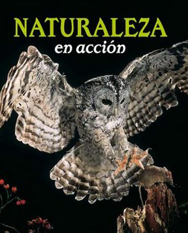 Naturaleza en acción