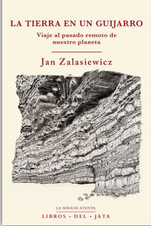 La Tierra en un guijarro