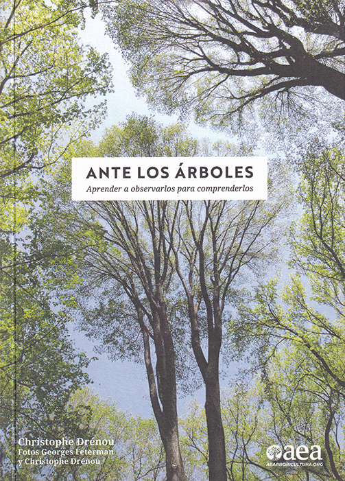 Ante los árboles