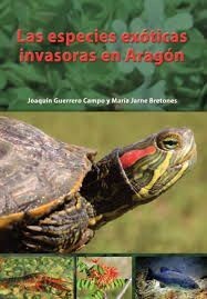 Las especies exóticas invasoras en Aragón