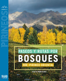 Paseos y rutas por bosques