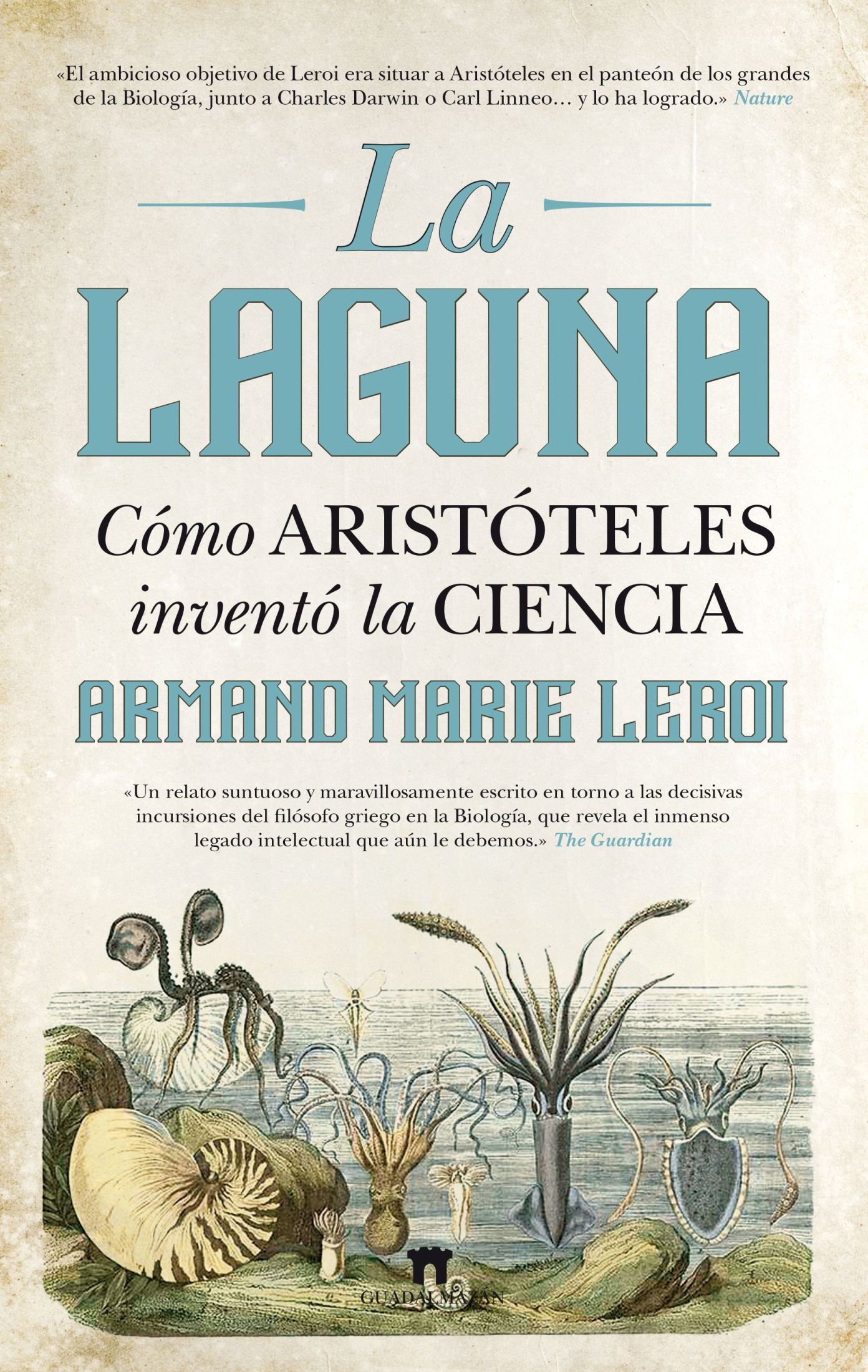 La laguna