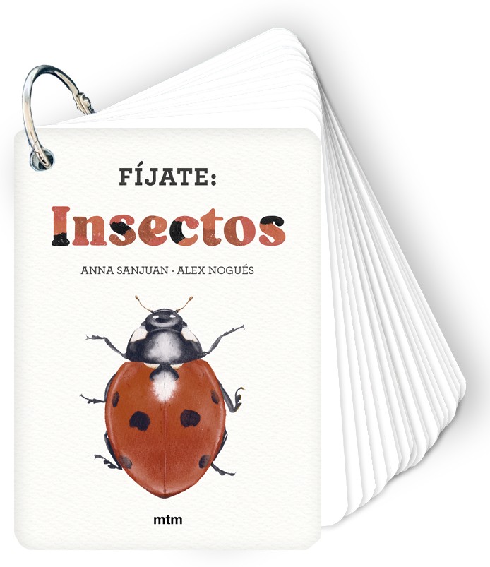 Fíjate: insectos