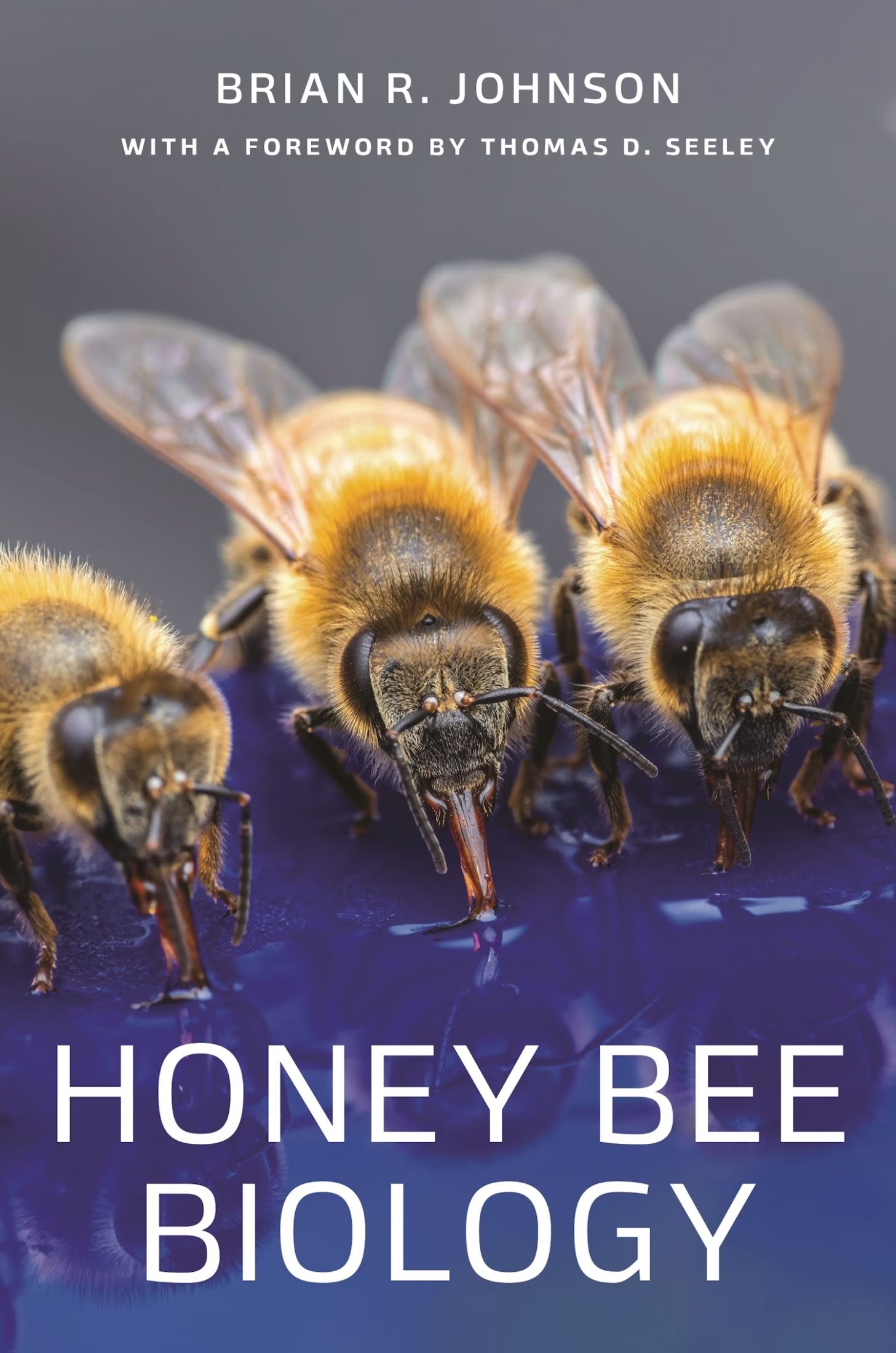 Honey Bee biology