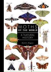 Moths of the World