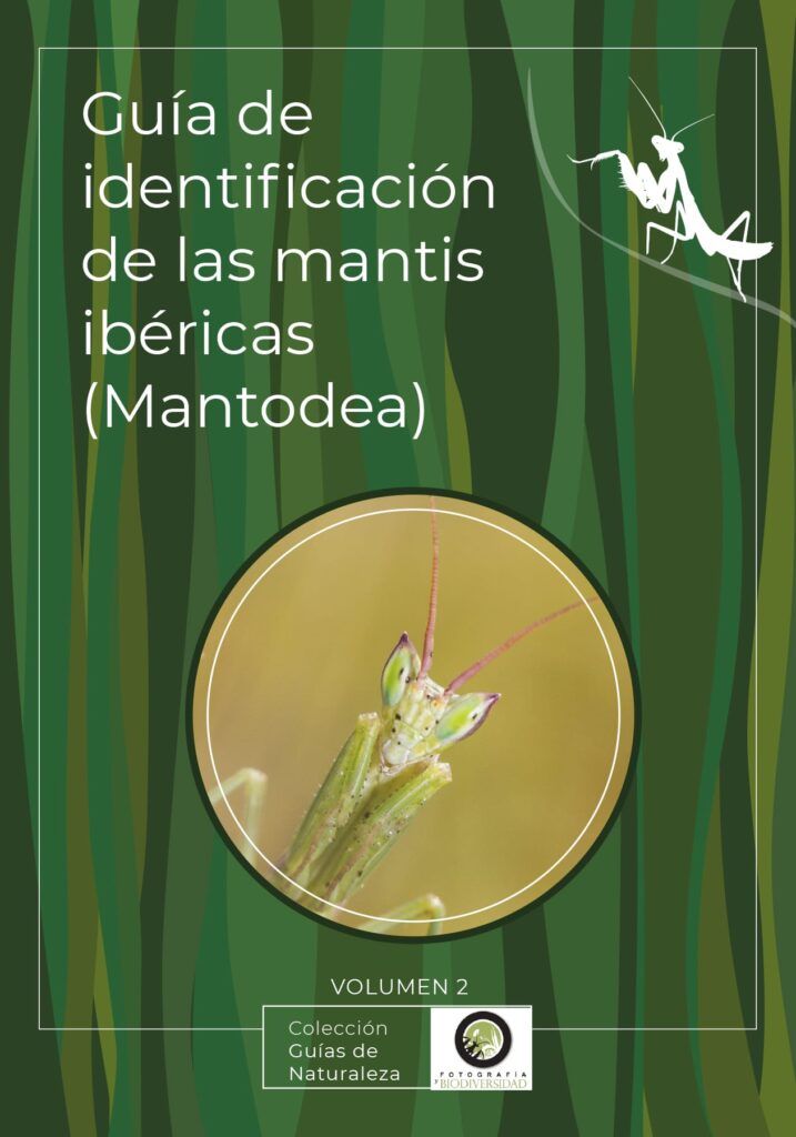 Guía de identificación de las mantis ibéricas (Mantodea)