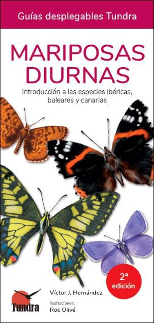Mariposas diurnas