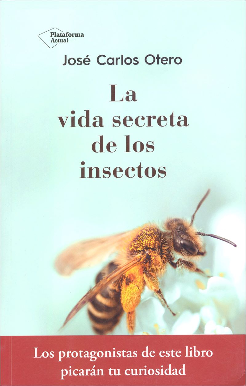 La vida secreta de los insectos