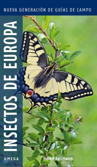 Insectos de Europa
