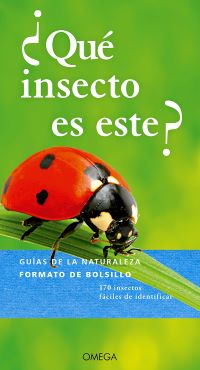 ¿Qué insecto es este?