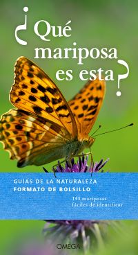 ¿Qué mariposa es esta?
