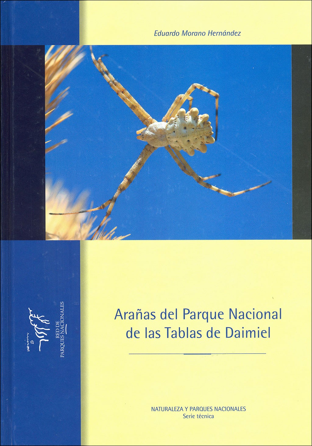 Arañas del Parque Nacional de las Tablas de Daimiel