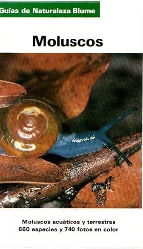 Moluscos