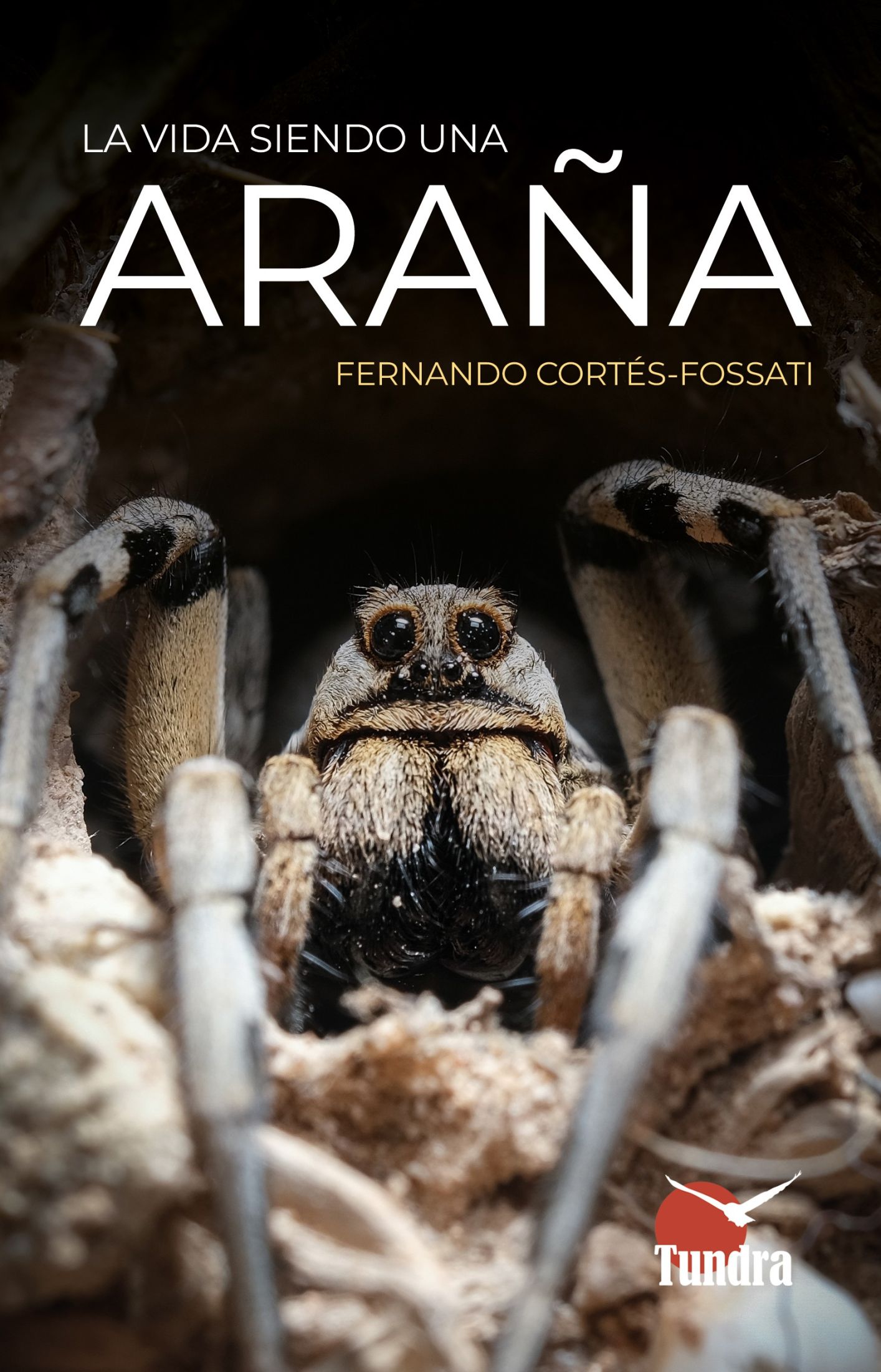 La vida siendo una araña