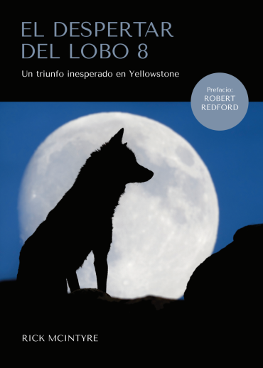 Click para ampliar El despertar del lobo 8