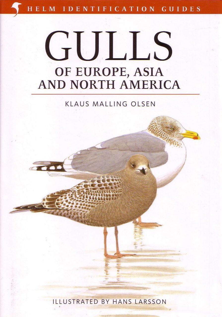 Gulls of Europe, Asia and North America (Helm Identification Guides)