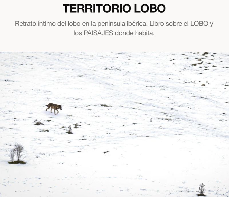 Territorio Lobo