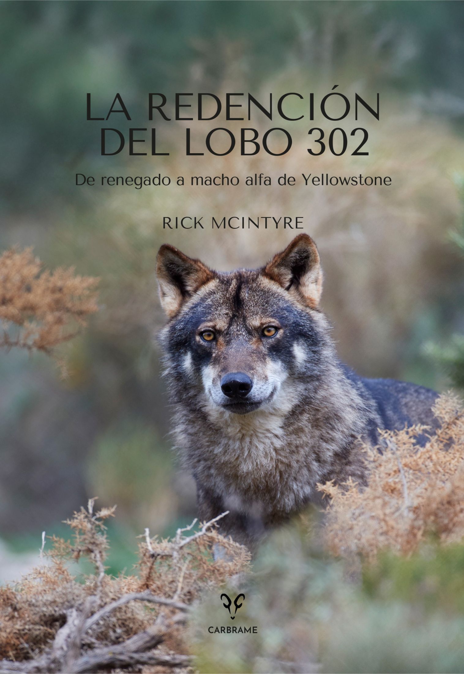 La redención del Lobo 302